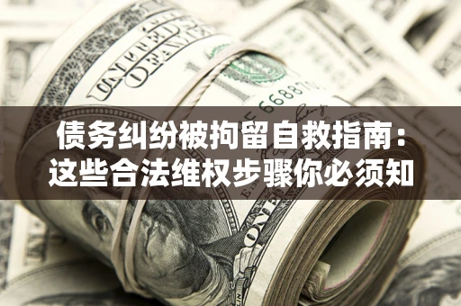 武汉债务纠纷被拘留自救指南：这些合法维权步骤你必须知道！
