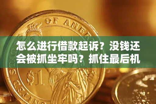 武汉怎么进行借款起诉？没钱还会被抓坐牢吗？抓住最后机会！