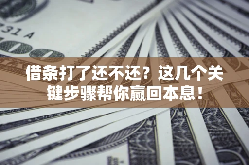 武汉借条打了还不还？这几个关键步骤帮你赢回本息！