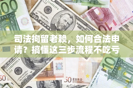武汉司法拘留老赖，如何合法申请？搞懂这三步流程不吃亏！