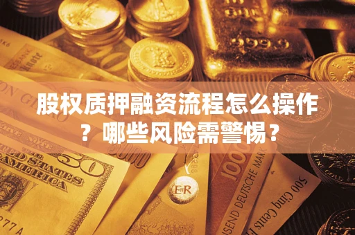 武汉股权质押融资流程怎么操作？哪些风险需警惕？