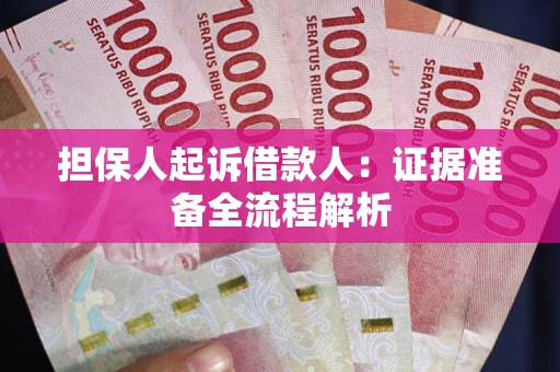 武汉担保人起诉借款人：证据准备全流程解析