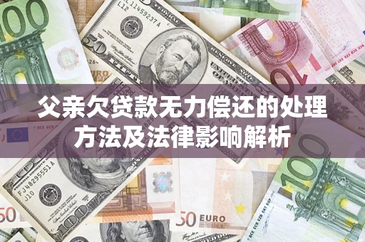 武汉父亲欠贷款无力偿还的处理方法及法律影响解析