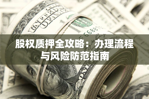 武汉股权质押全攻略：办理流程与风险防范指南